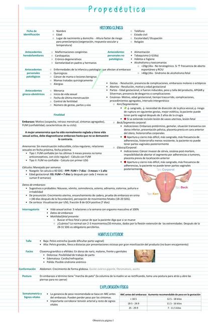 Propedéutica obstétrica