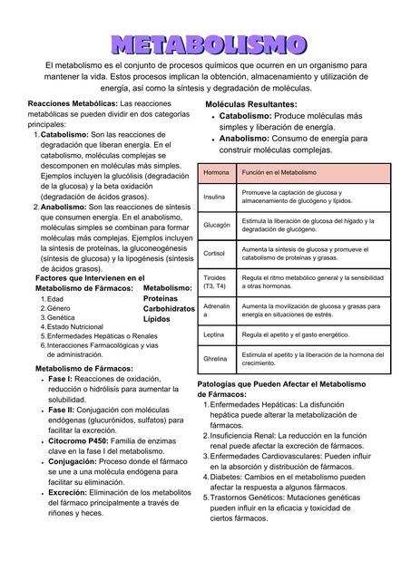 Metabolismo