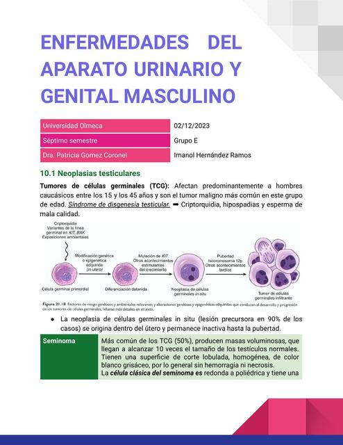 RESUMEN ENFERMEDADES DE SISTEMA URINARIO Y GENITAL MASCULINO