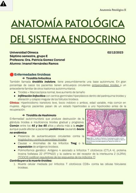 RESUMEN DE SISTEMA ENDOCRINO