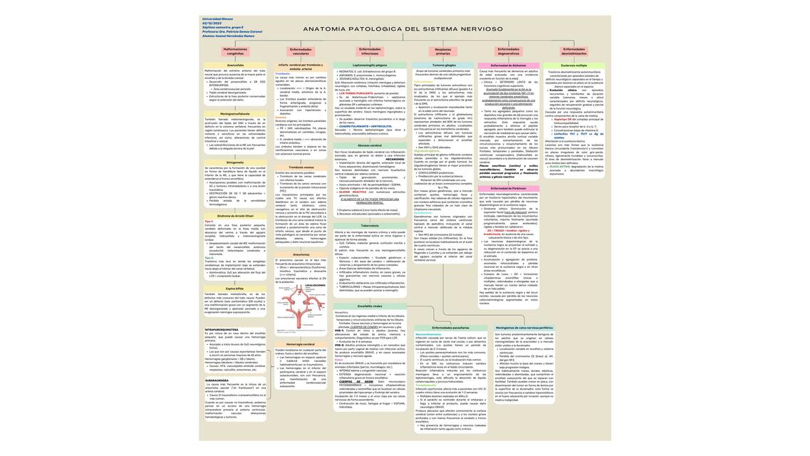 MAPA CONCEPTUAL SNC