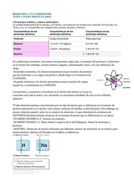 Bases moleculares 