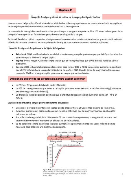 Capítulo 41 Transporte de oxigeno y dióxido de carbono en la sangre y los líquidos tisulares 