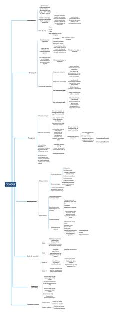 dengue-enfermera-educativa-udocz