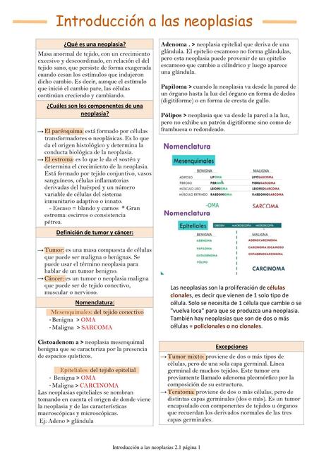 Introducción a las neoplasias