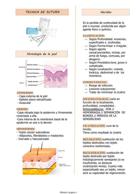 Técnicas de sutura