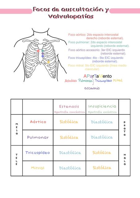 Focos de auscultación y valvulopatías