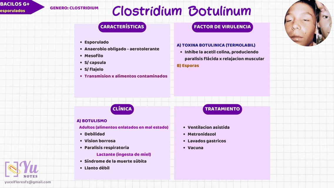 Clostridium botulinum