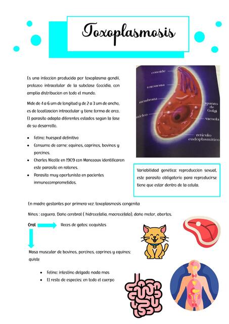 toxoplasmosis