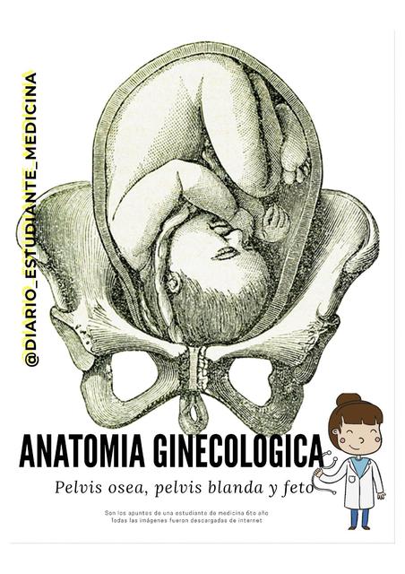 Anatomía ginecológica (Pelvis osea pelvis blanda feto)