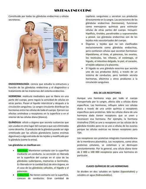 Sistema Endocrino, Aparato Reproductor Femenino y Masculino