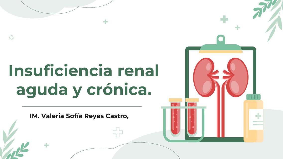 Insuficiencia Renal Aguda Y Crónica Valeria Sofia Reyes Castro Udocz