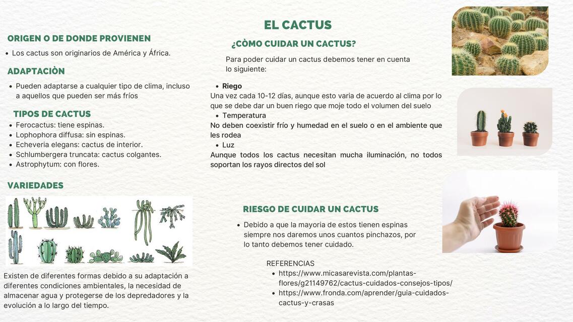 CACTUS