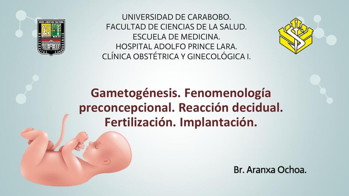 Gametogénesis. Fenomenología preconcepcional. Reacción decidual