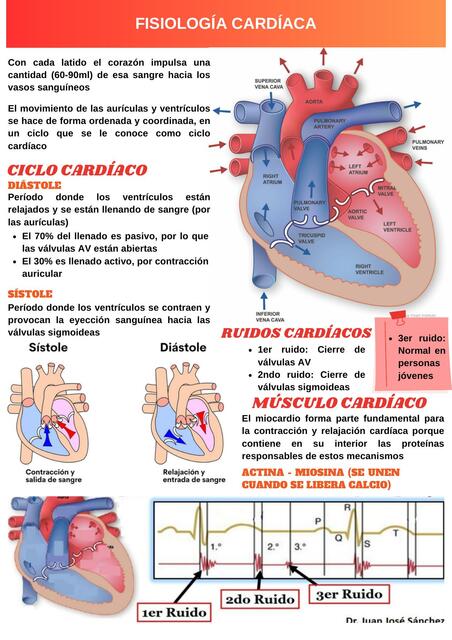 RESUMEN CARDIOLOGIA