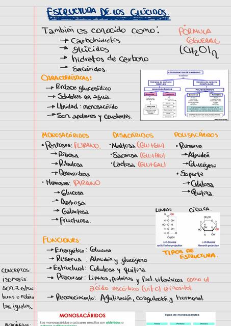 Estructura de los glúcidos  