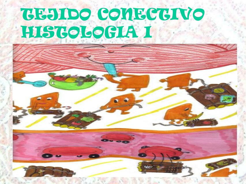 Tejido conectivo HISTOLOGIA