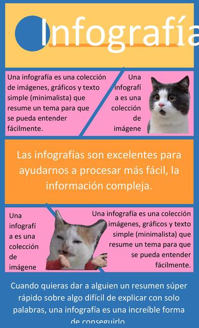 Infografía 