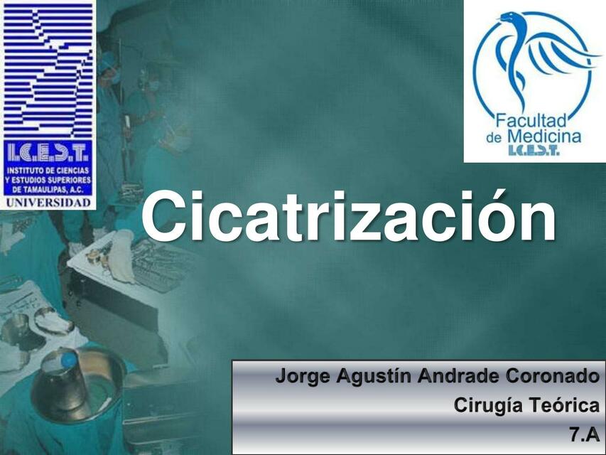 Cicatrizacion