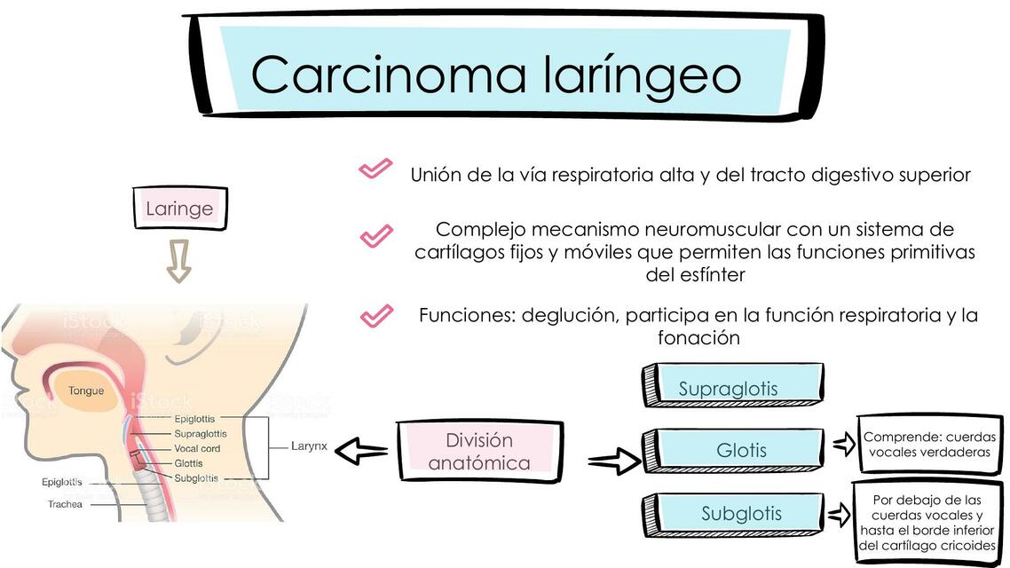 Carcinoma laríngeo