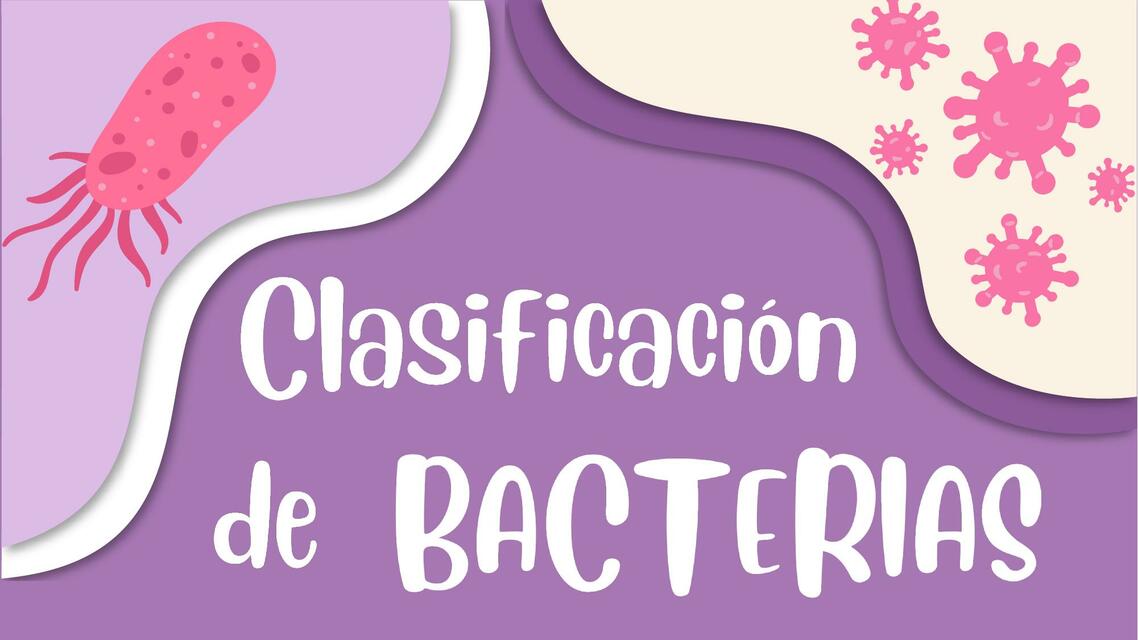 Clasificación de Bacterias - Apuntes | Josselin Choquehuanca Muñoz | uDocz