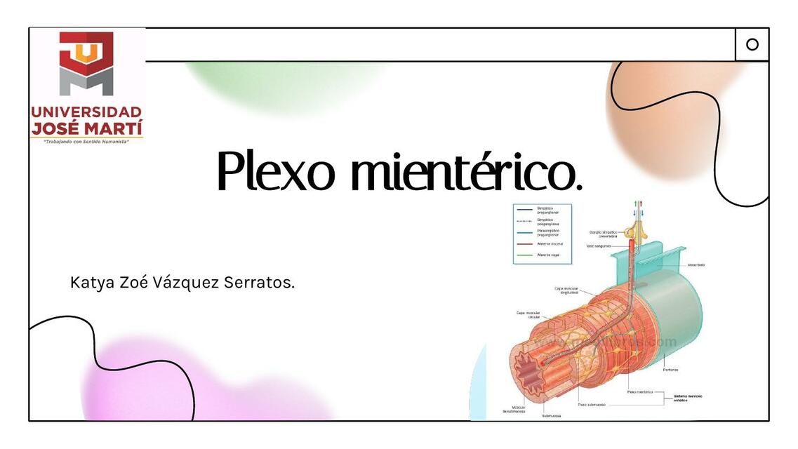 Plexo mientérico