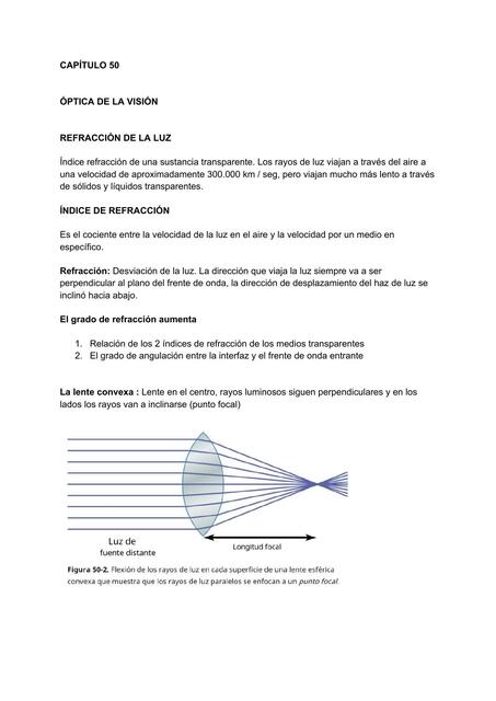 Óptica de la visión 