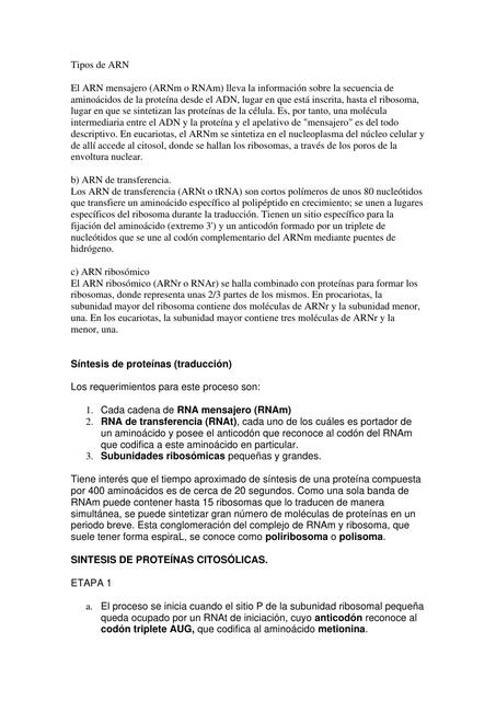 Tipos de ARN Ysaac Garcia uDocz