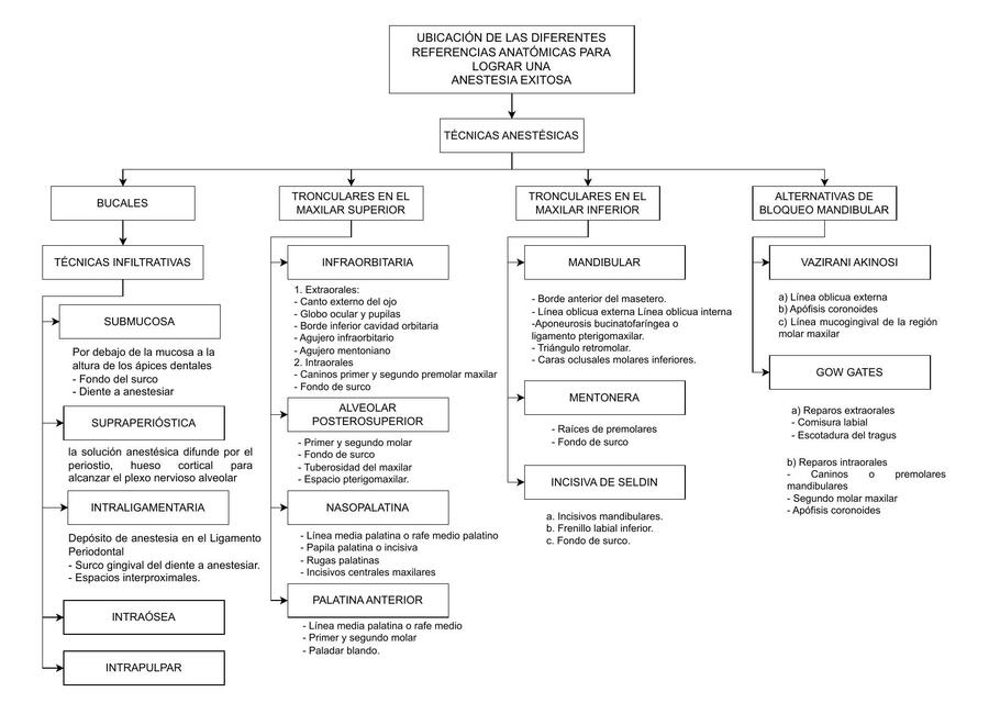 Referencias Anatómicas para Anestesia 