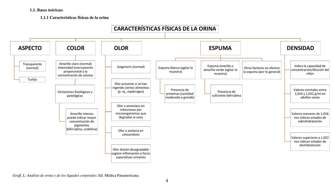 Características Físicas de la Orina 