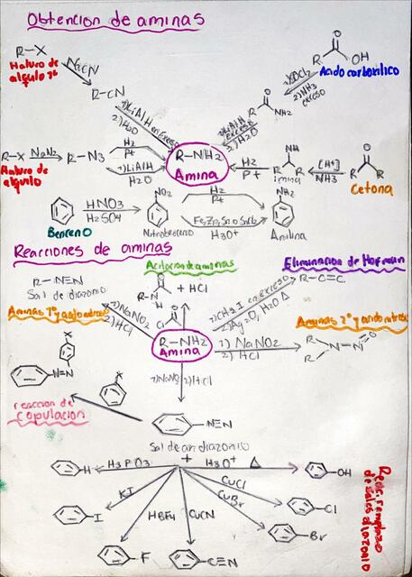 Obtención de Aminas 