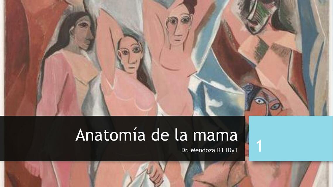 Anatomía de la Mama 