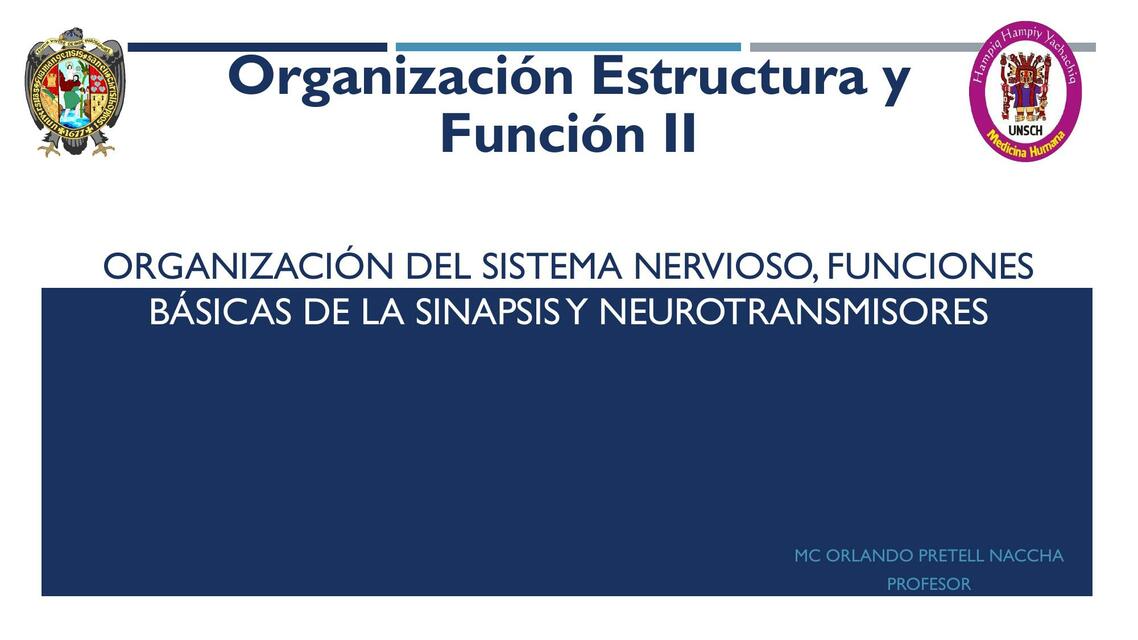 Organización del Sistema Nervioso