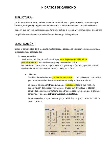 Hidratos de Carbono 