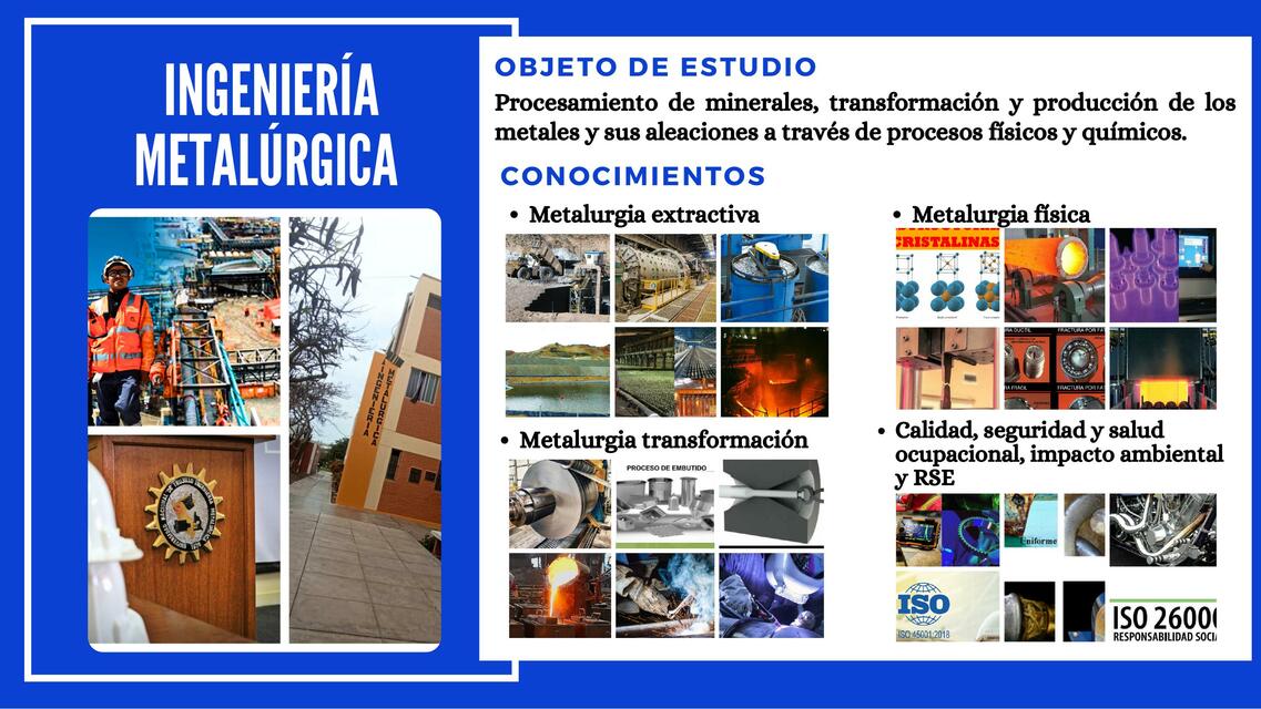 Ingeniería Metalúrgica 