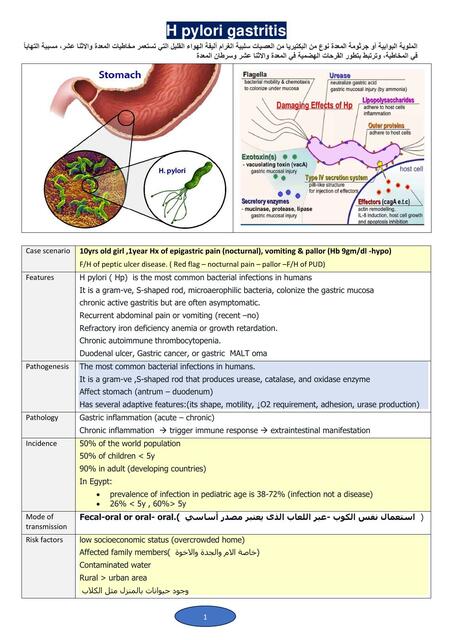 Helicobacter Pylori Dr Mohamed Ebraheem