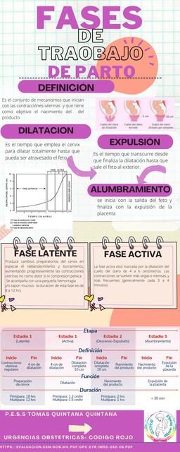 Fases de trabajo de parto 