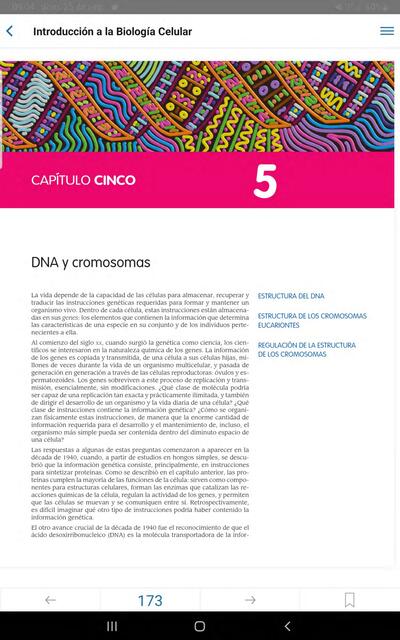 DNA y Cromosomas 