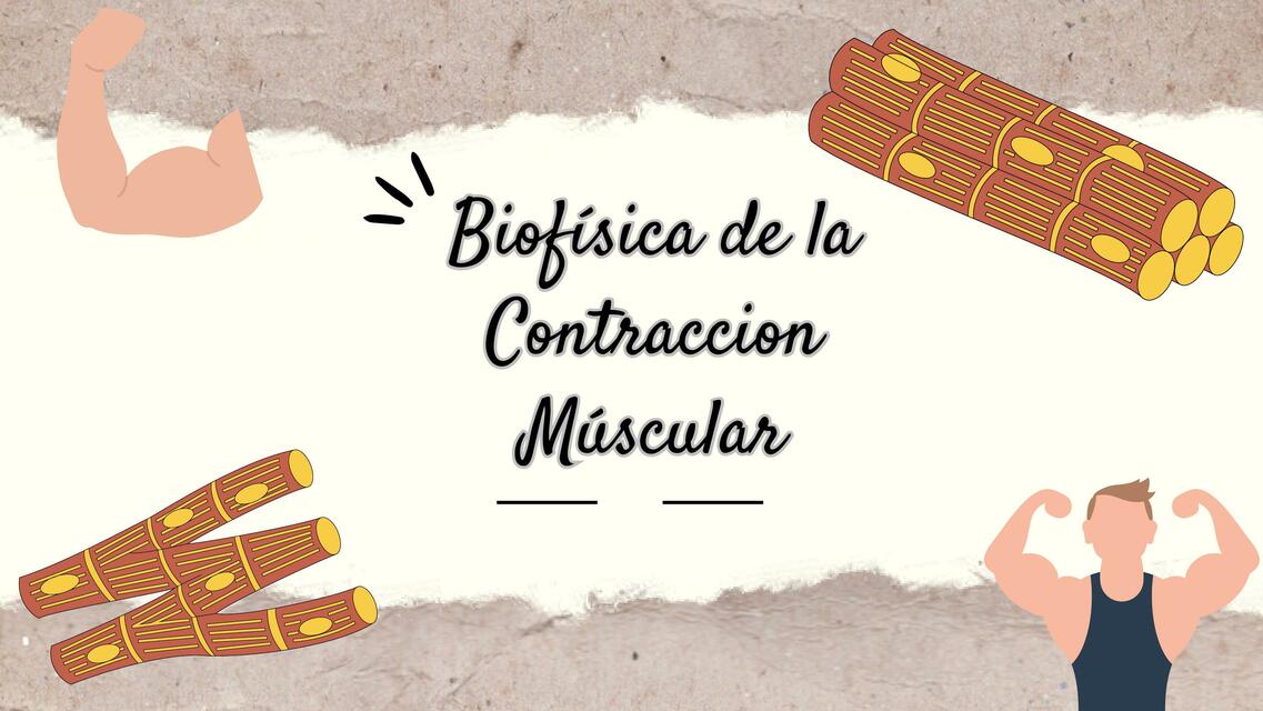 Biofísica de la Contracción Muscular