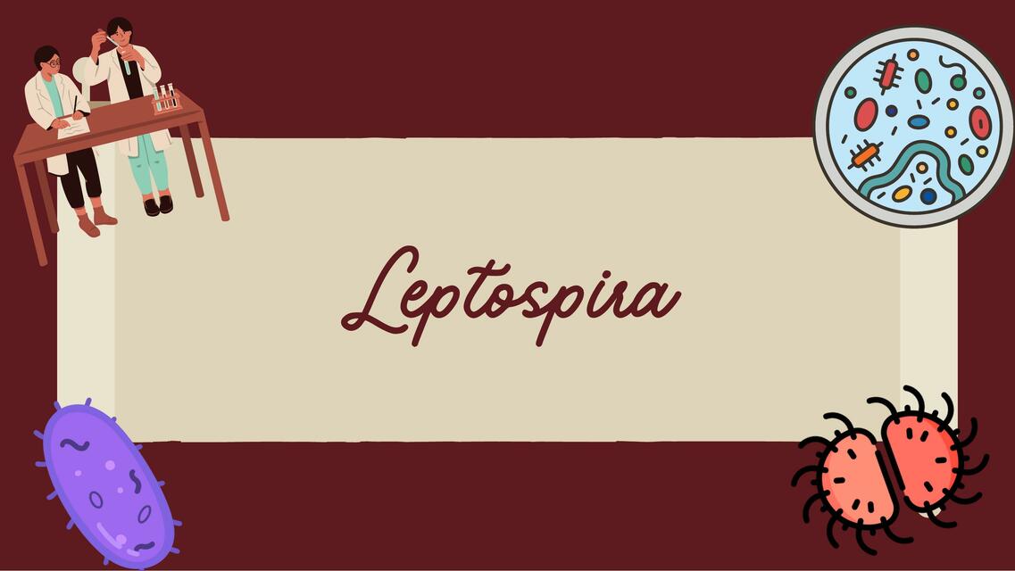 Leptospira