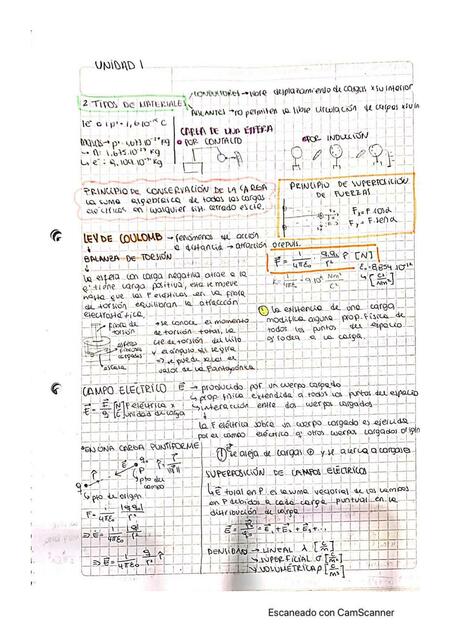 resumen fisica campo electrico campo magnetico ele