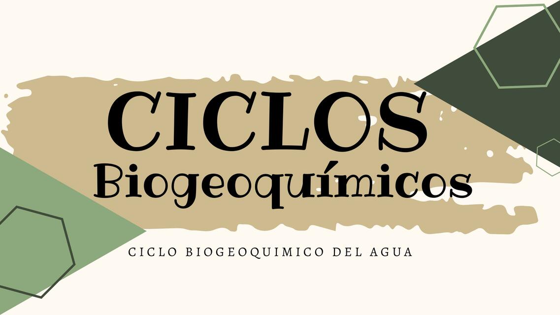 CICLOS BIOGUEOQUIMICOS