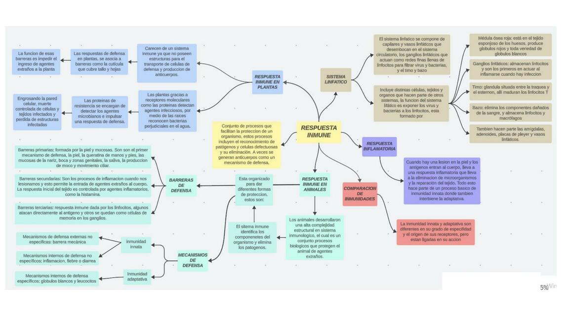 Mapa conceptual sistema inmune