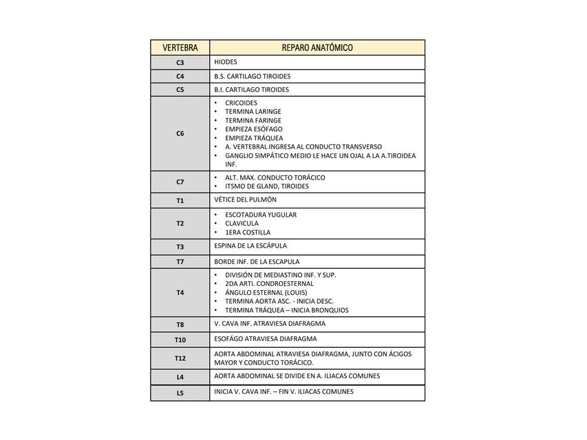 Tabla reparos anatómicos vértebras 