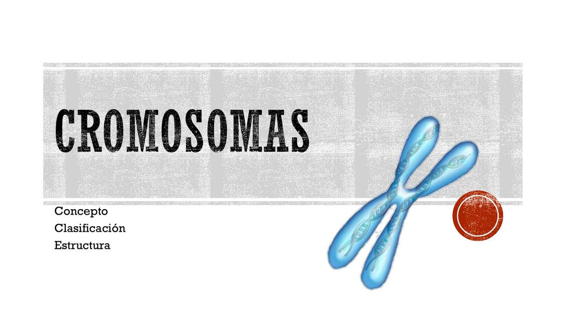 Cromosomas 