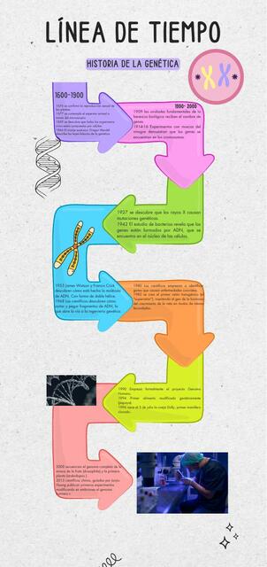 Línea de Tiempo Genética 