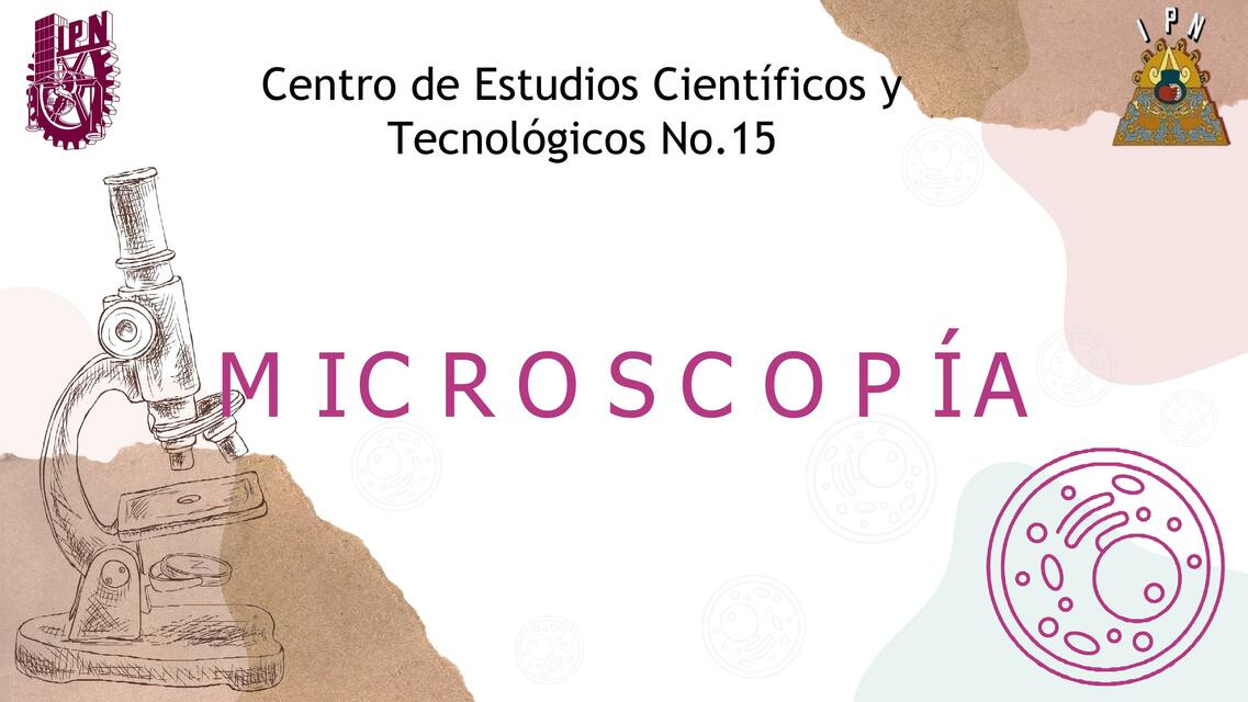 Microscopía 