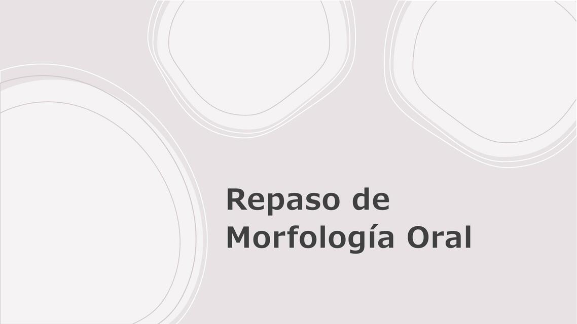 Repaso de Morfología Oral