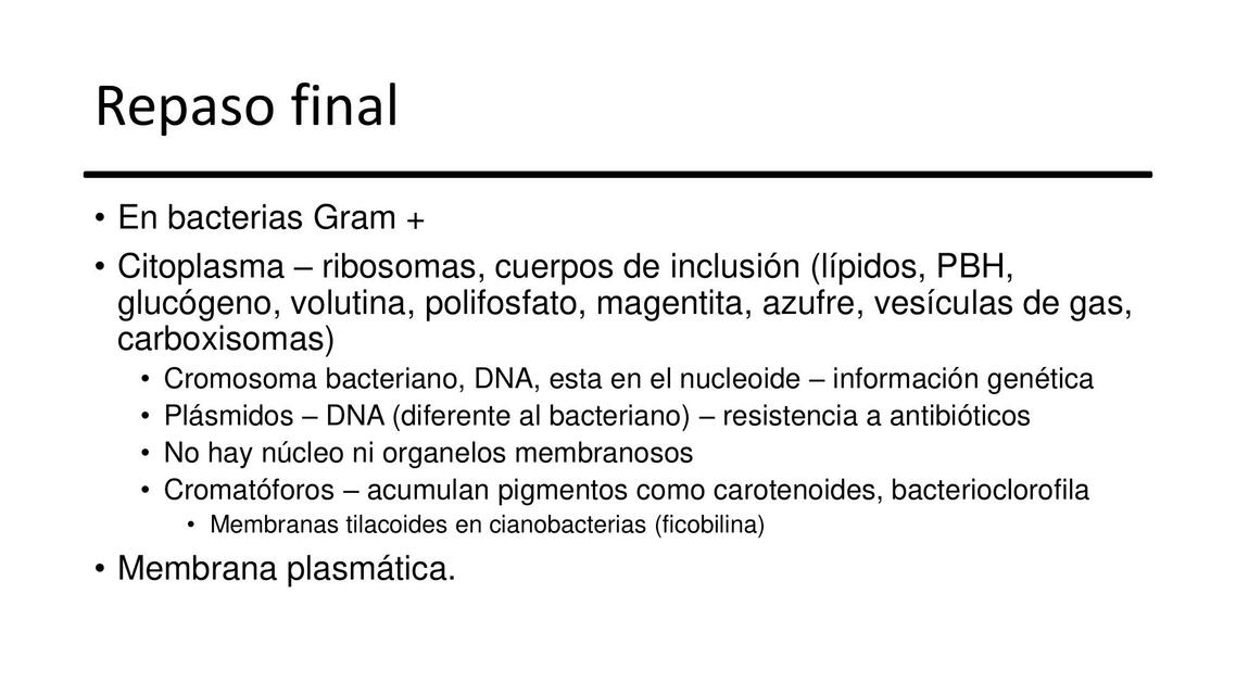 Repaso final microbiología 