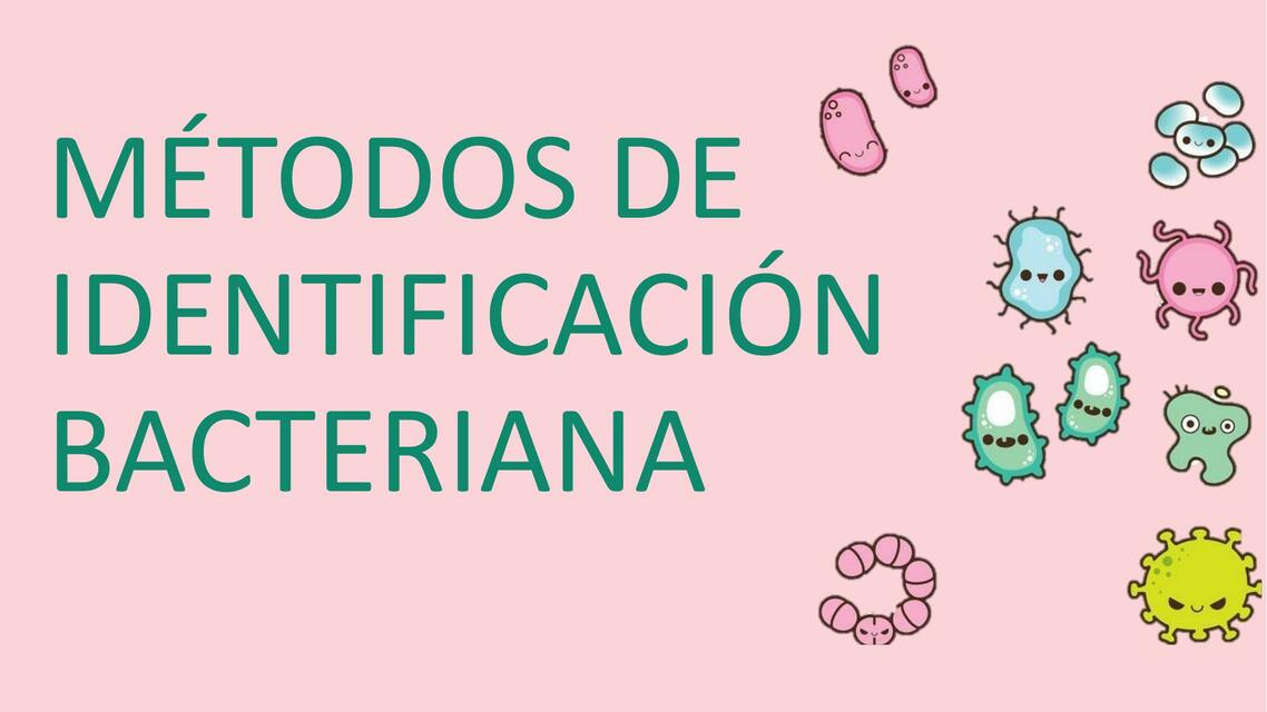 Ecología Oral Identificación